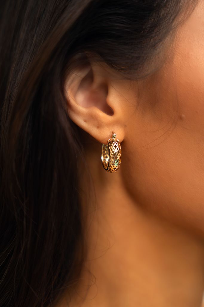PARIS HOOP EARRINGS